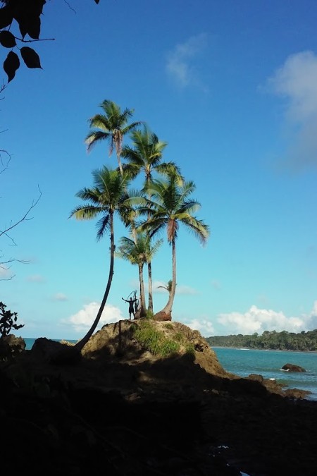 Scuba Diving Caño Island