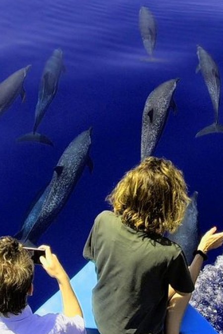 Caña Blanca Sanctuary & Dolphin Tour